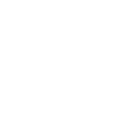 Ammar Website Logo
